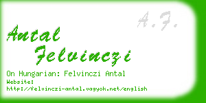 antal felvinczi business card